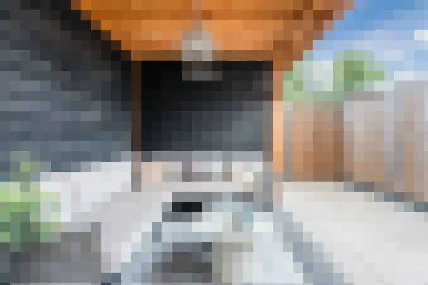 Sterakkers 30 Hoogeloon thumbnail 34
