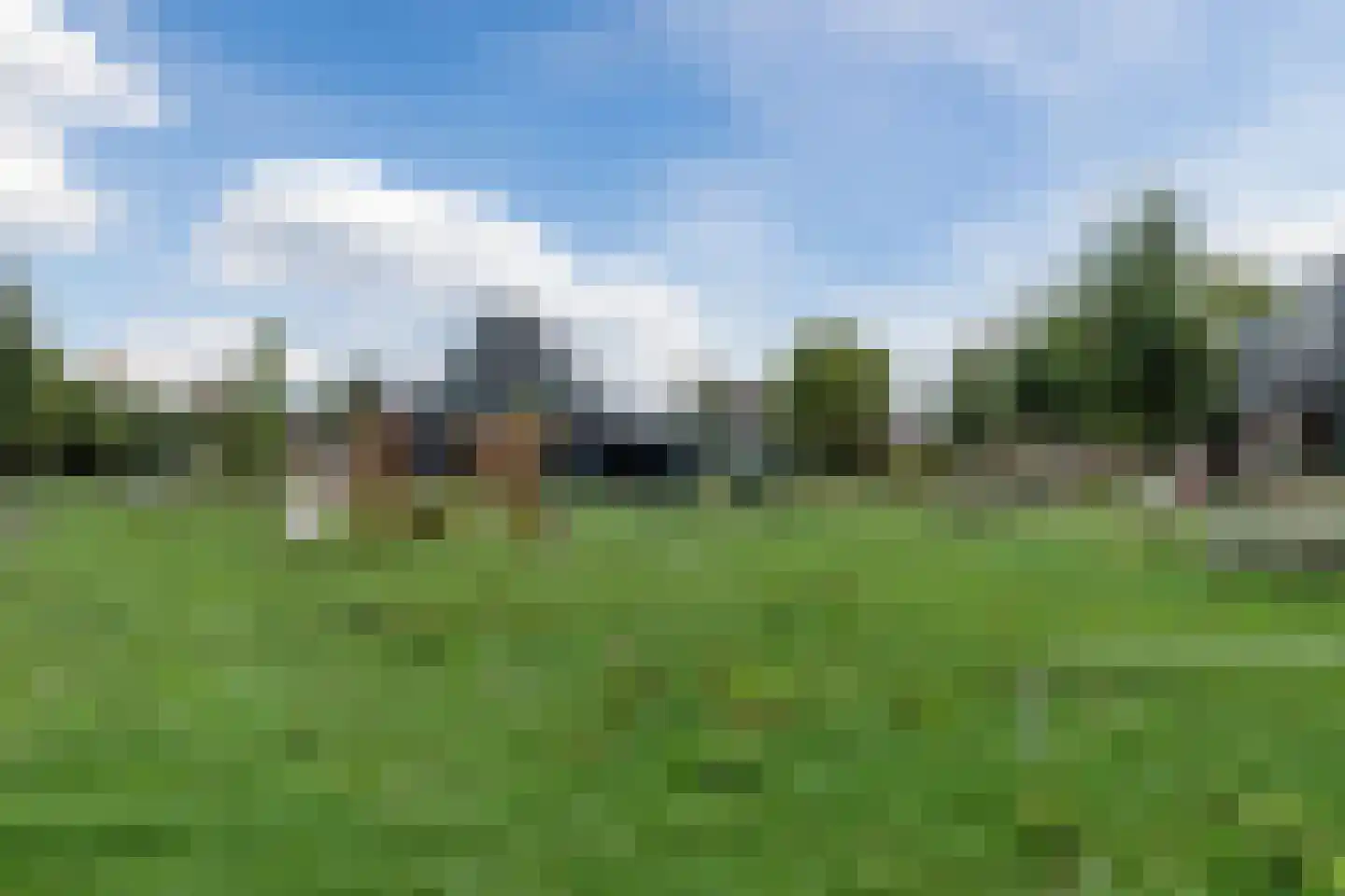 Sterakkers 30 Hoogeloon thumbnail 40
