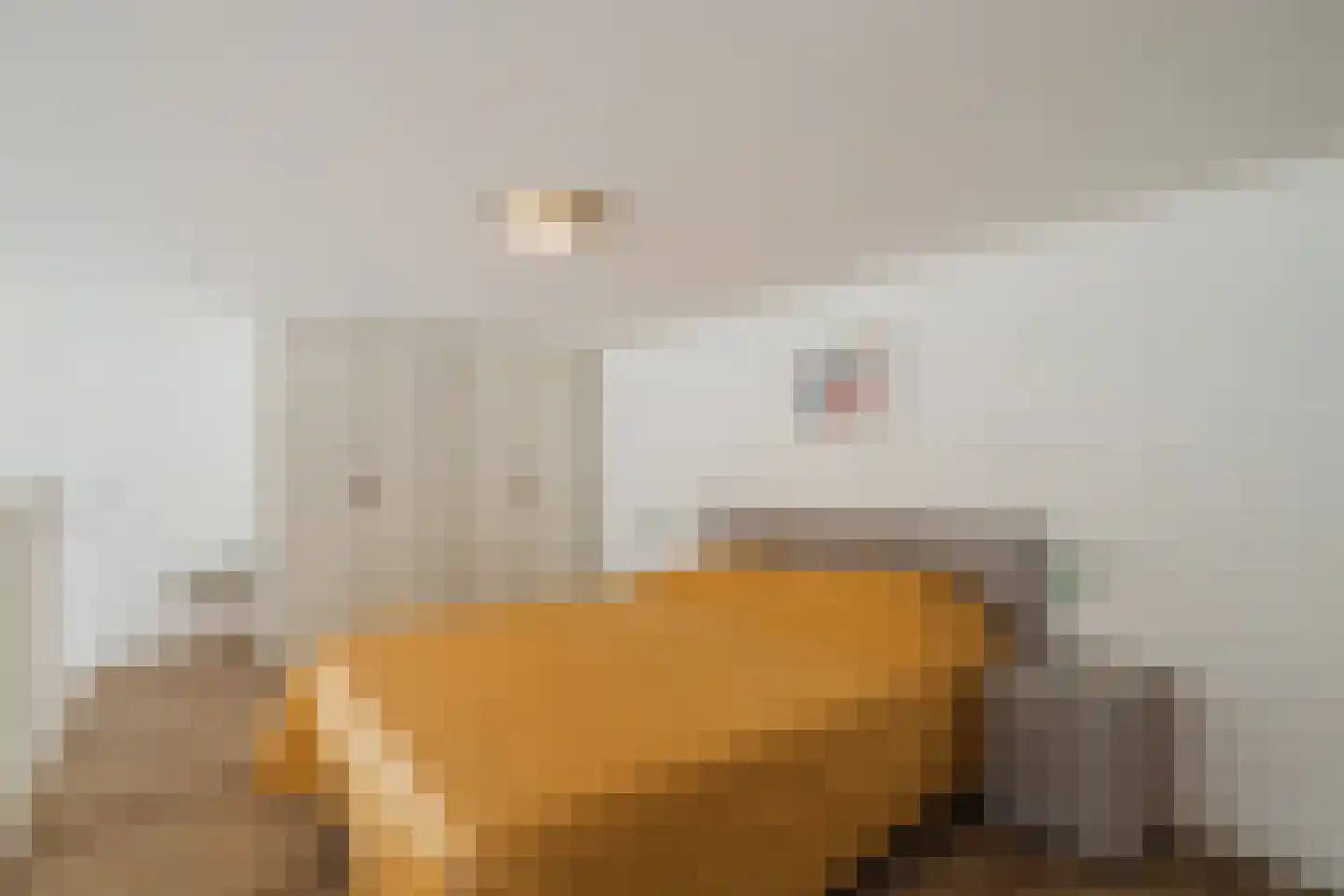 Steranijsweg 19 Utrecht thumbnail 11