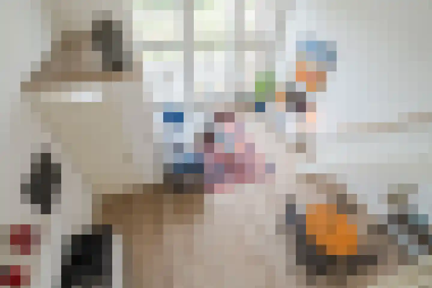 Steranijsweg 19 Utrecht thumbnail 12