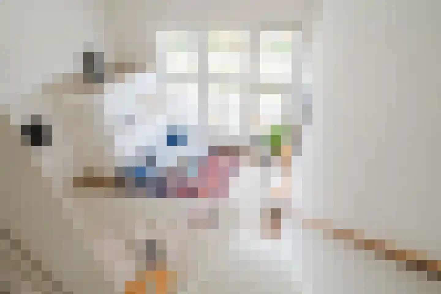 Steranijsweg 19 Utrecht thumbnail 13