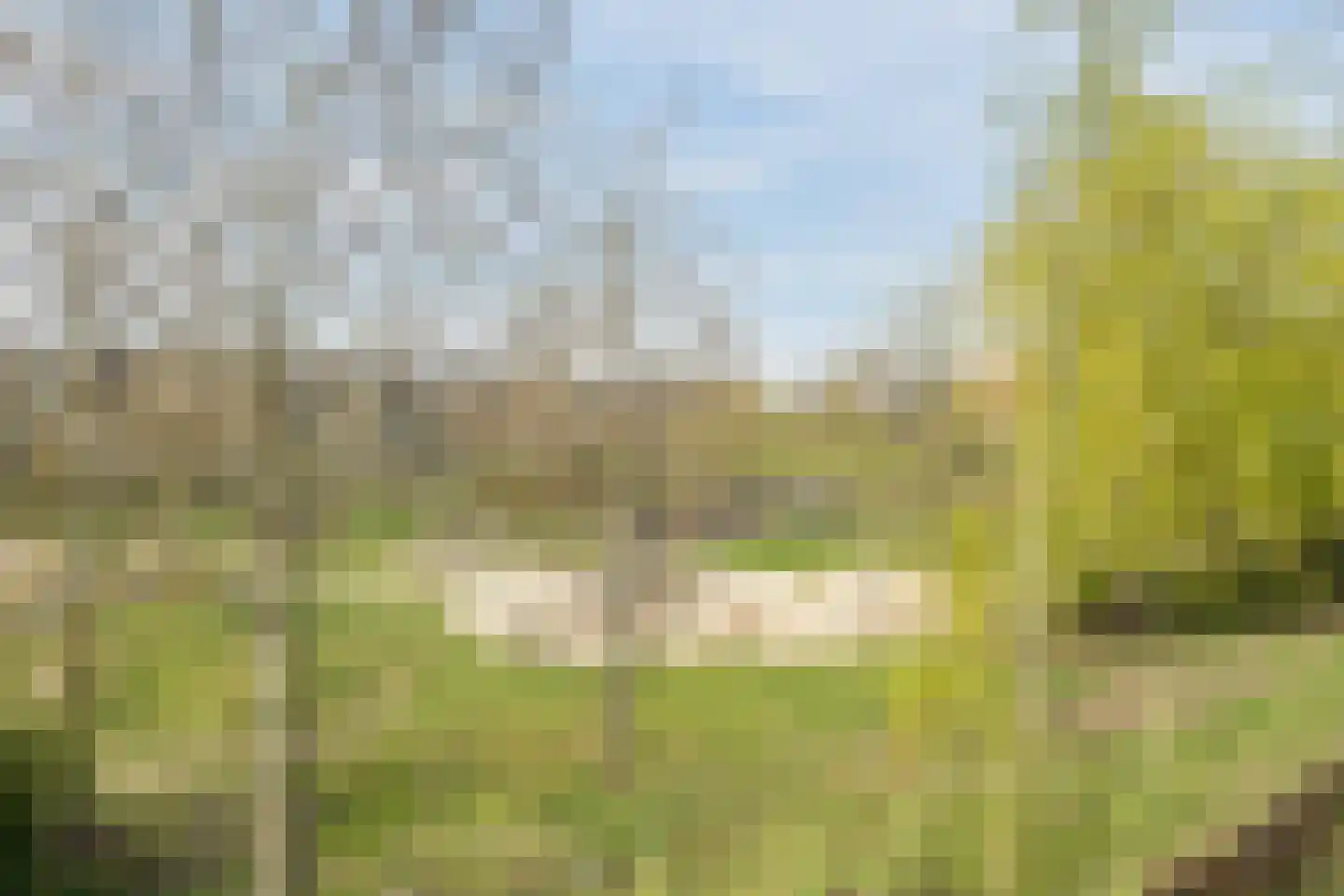Steranijsweg 19 Utrecht thumbnail 19