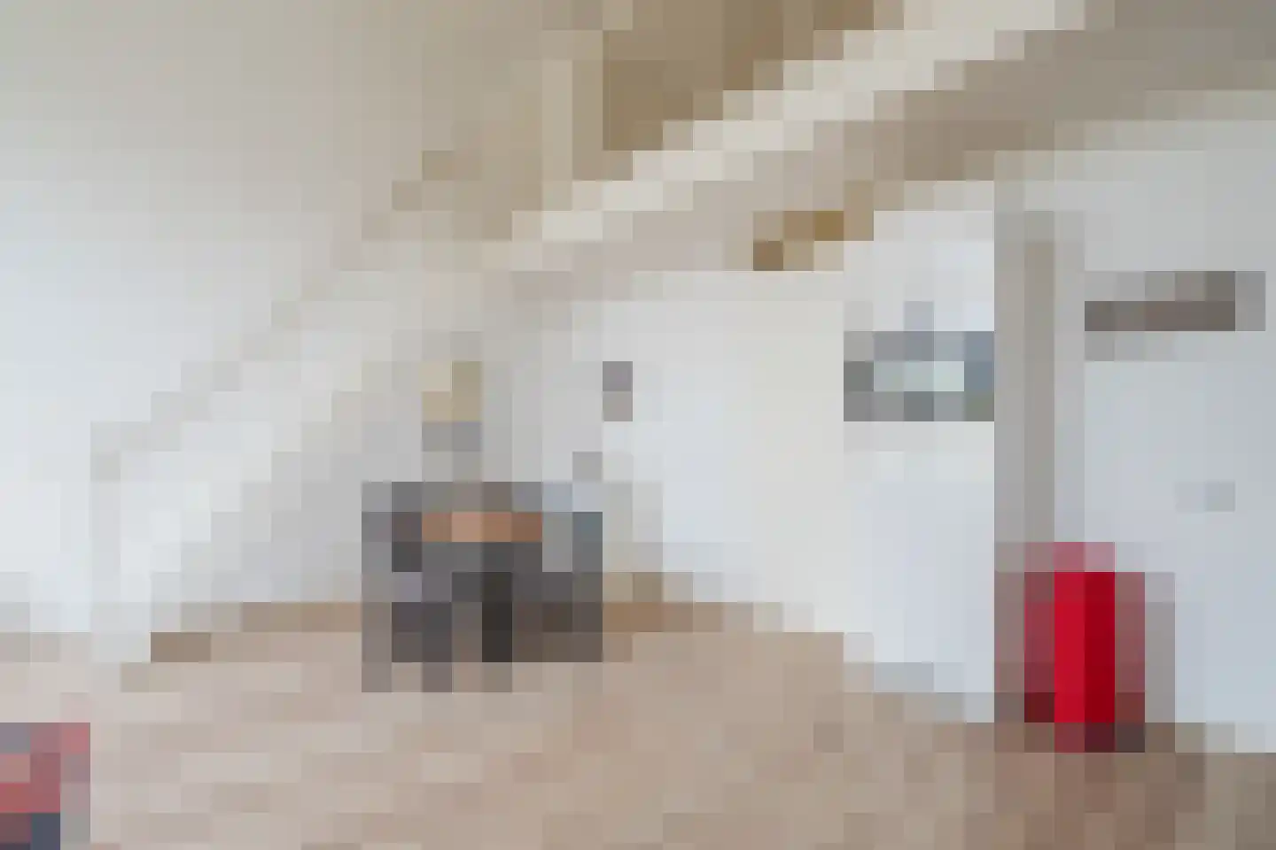 Steranijsweg 19 Utrecht thumbnail 8