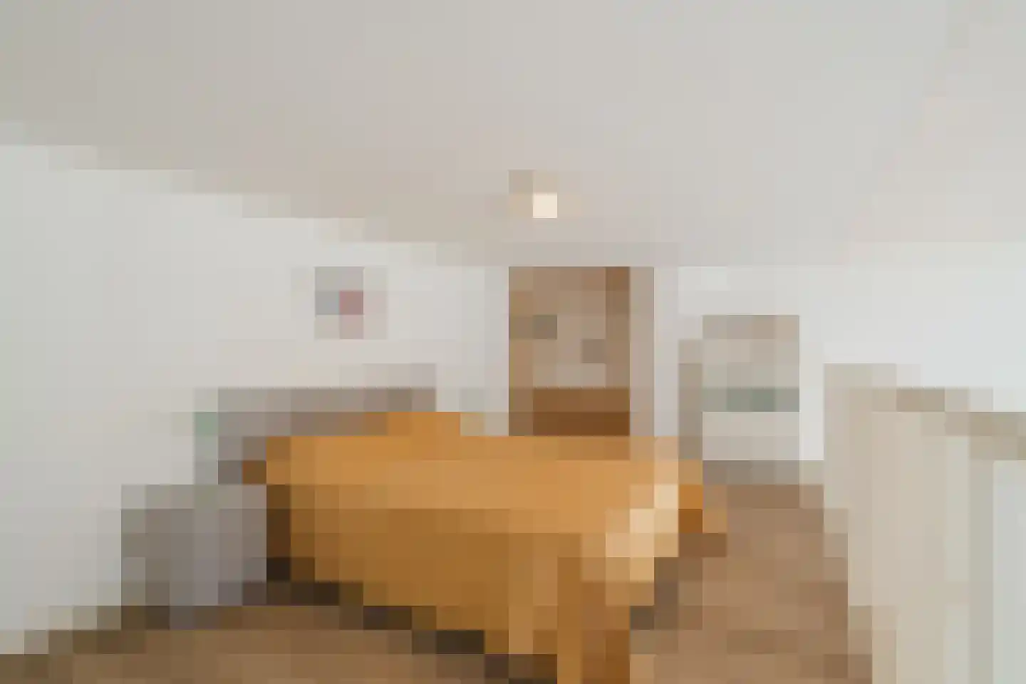 Steranijsweg 19 Utrecht thumbnail 9