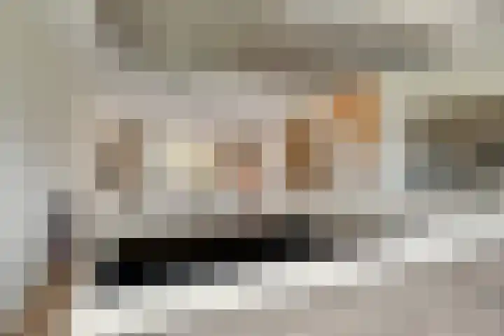 Steranijsweg 6 Utrecht thumbnail 18
