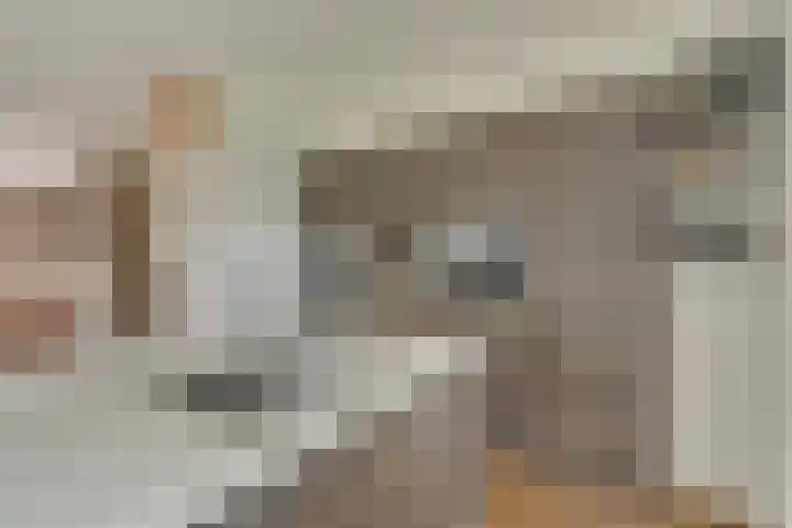 Steranijsweg 6 Utrecht thumbnail 19