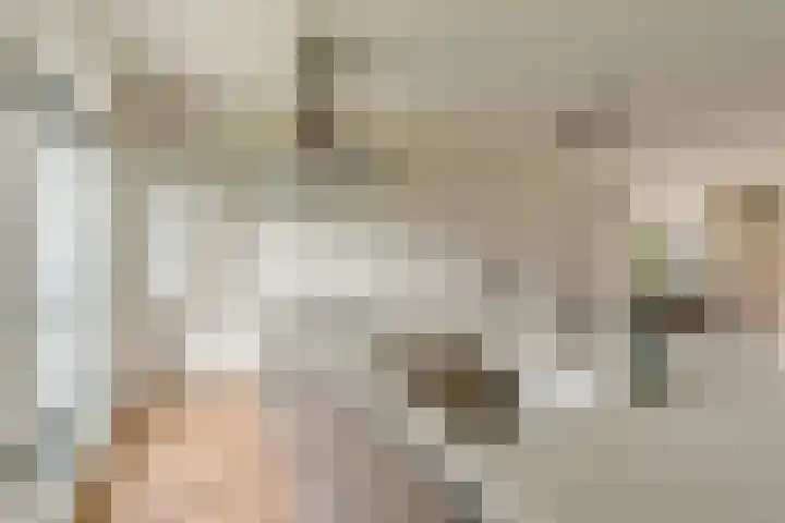 Steranijsweg 6 Utrecht thumbnail 20
