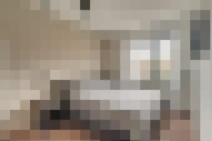 Steranijsweg 6 Utrecht thumbnail 22