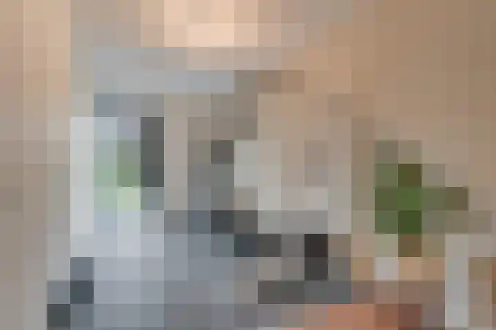 Steranijsweg 6 Utrecht thumbnail 34