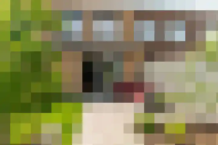 Steranijsweg 6 Utrecht thumbnail 4