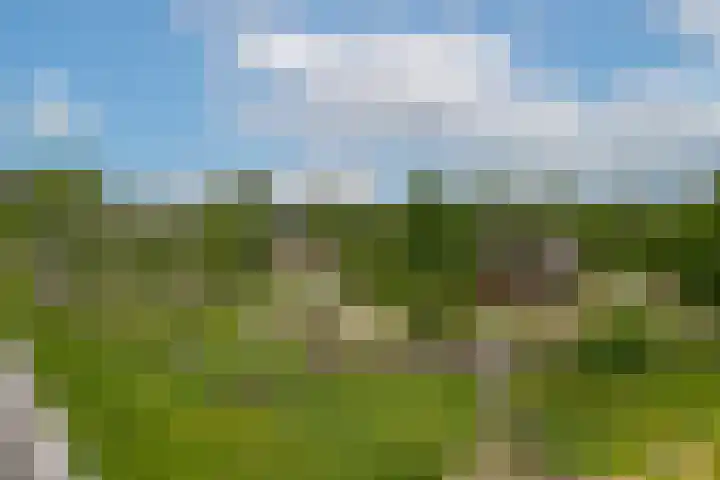 Steranijsweg 6 Utrecht thumbnail 46