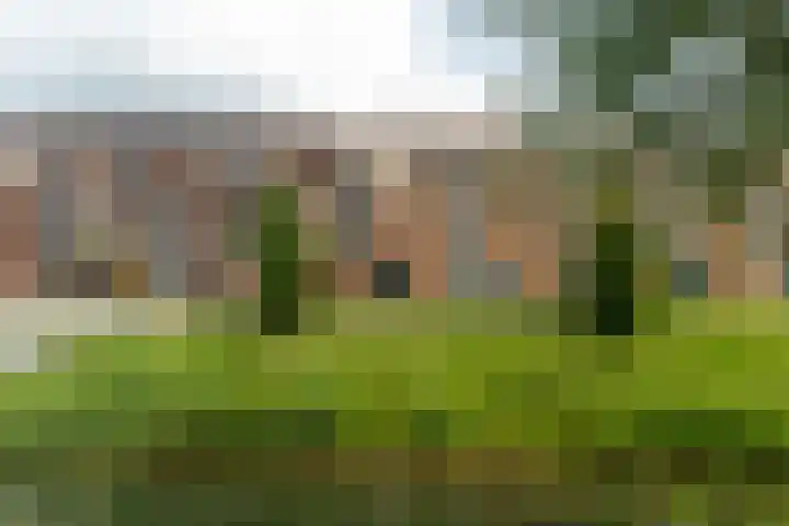 Steranijsweg 6 Utrecht thumbnail 5