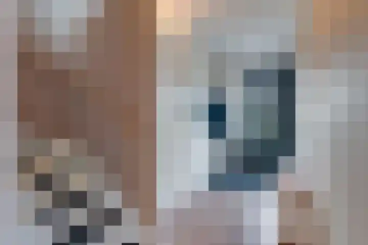 Steranijsweg 6 Utrecht thumbnail 8