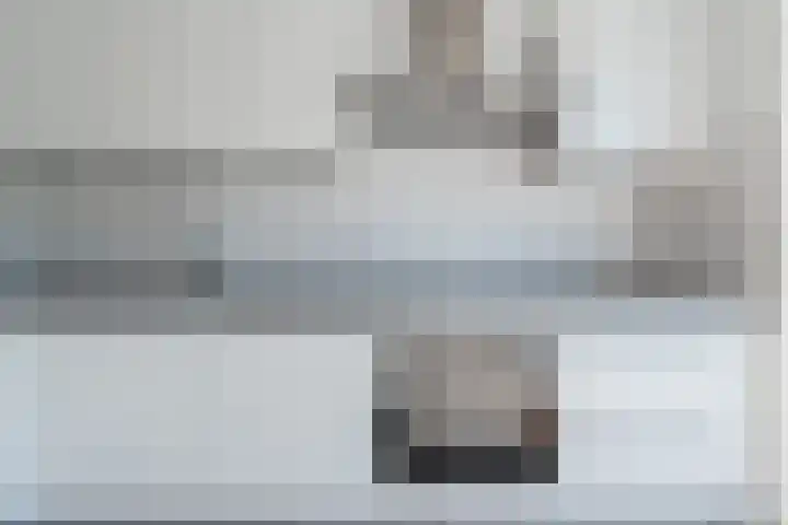 Sterappel 1 Hoogezand thumbnail 13
