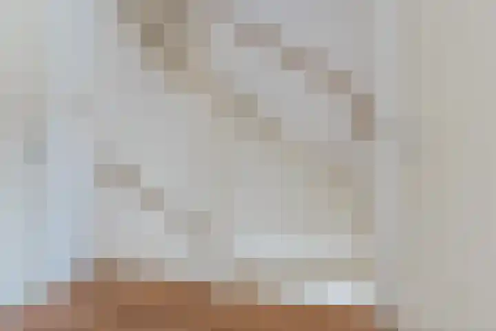 Sterappel 1 Hoogezand thumbnail 15