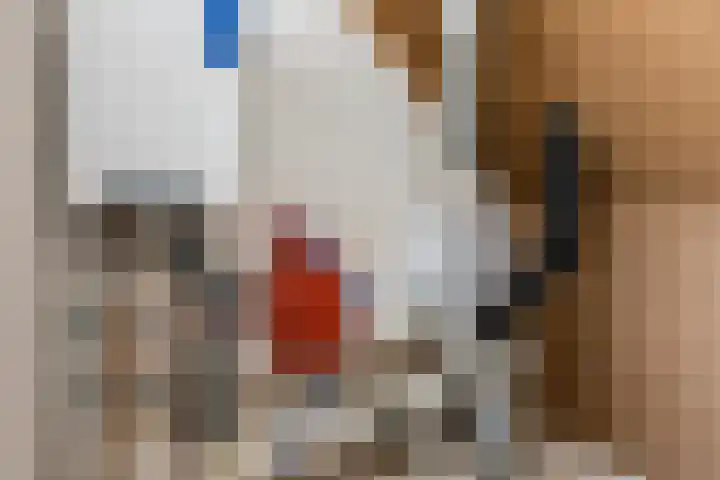 Sterappel 1 Hoogezand thumbnail 29