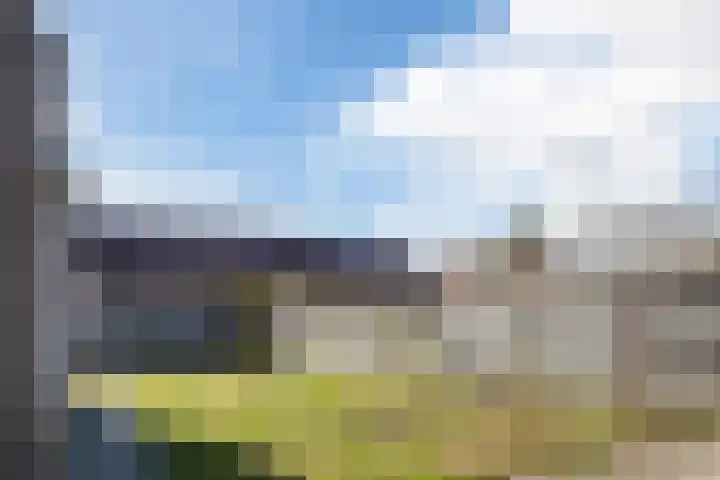 Sterappel 1 Hoogezand thumbnail 33