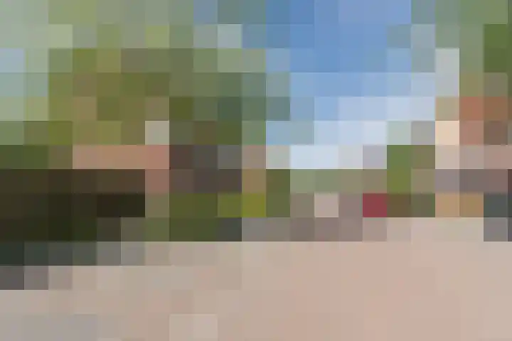 Sterappel 1 Hoogezand thumbnail 38