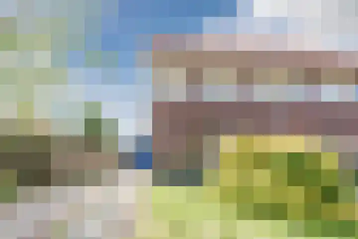 Sterappel 1 Hoogezand thumbnail 40