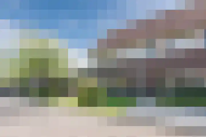 Sterappel 1 Hoogezand thumbnail 41