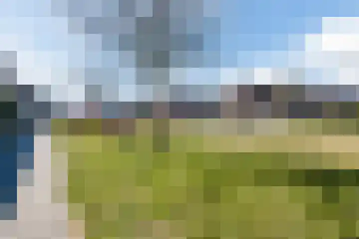 Sterappel 1 Hoogezand thumbnail 44