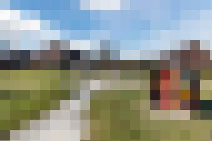 Sterappel 1 Hoogezand thumbnail 45