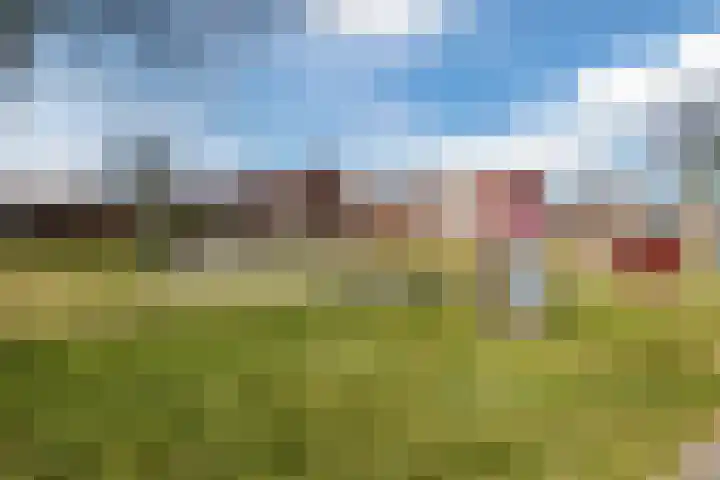 Sterappel 1 Hoogezand thumbnail 46