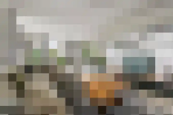 Sterappel 10 Geldermalsen thumbnail 10