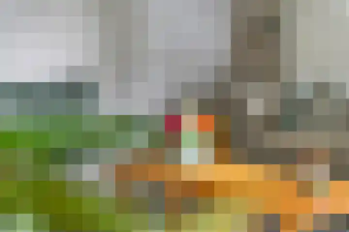 Sterappel 10 Geldermalsen thumbnail 11