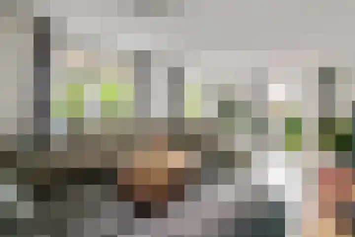 Sterappel 10 Geldermalsen thumbnail 12
