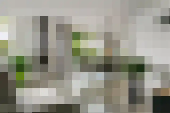 Sterappel 10 Geldermalsen thumbnail 13