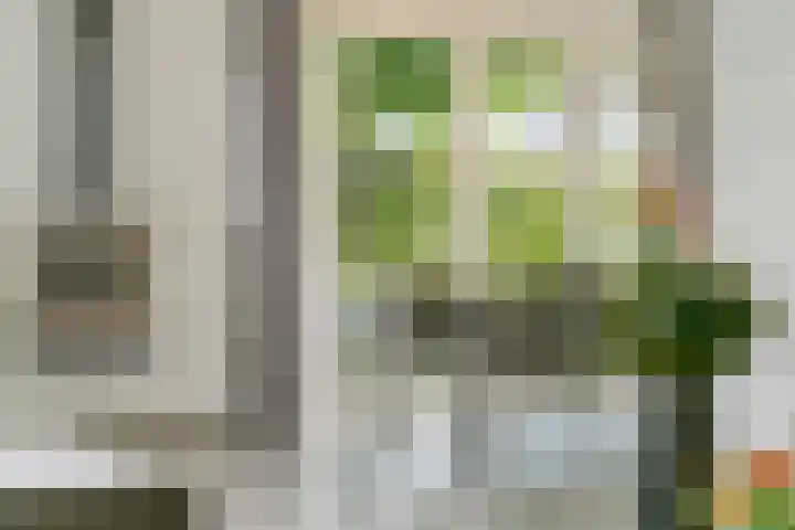 Sterappel 10 Geldermalsen thumbnail 14
