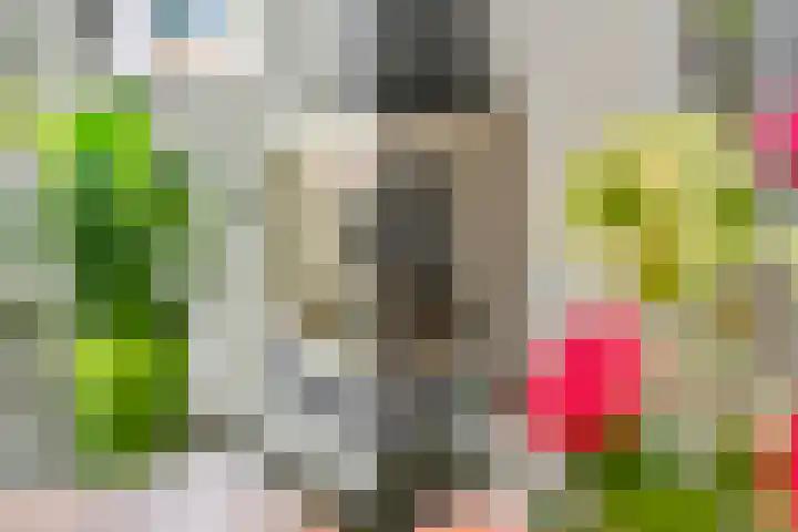 Sterappel 10 Geldermalsen thumbnail 15
