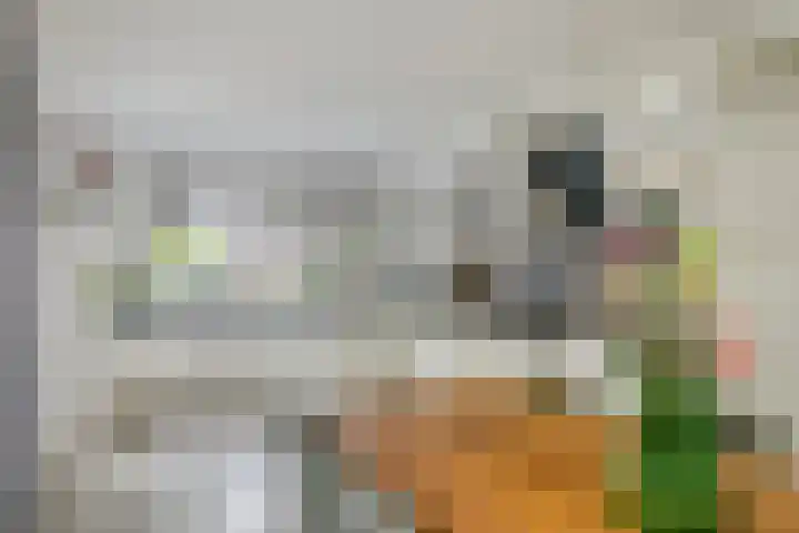 Sterappel 10 Geldermalsen thumbnail 17