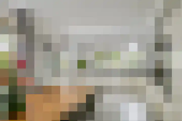 Sterappel 10 Geldermalsen thumbnail 18