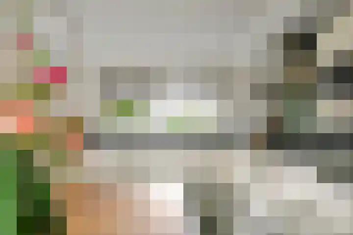 Sterappel 10 Geldermalsen thumbnail 19