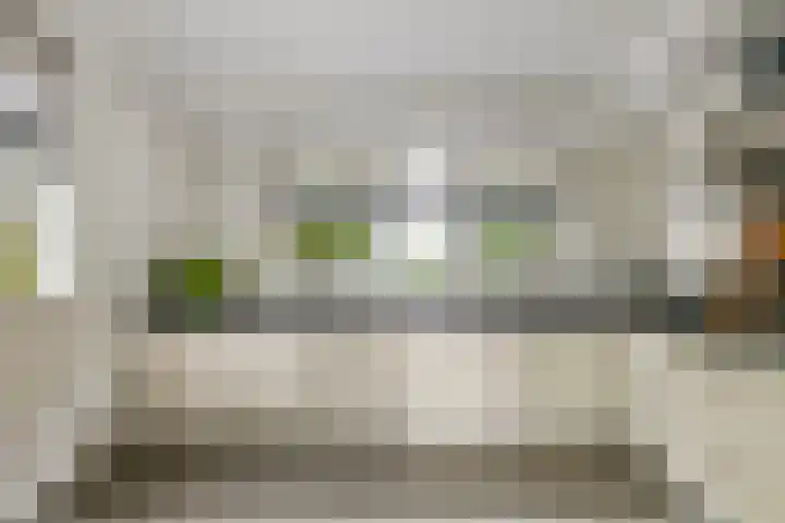 Sterappel 10 Geldermalsen thumbnail 21
