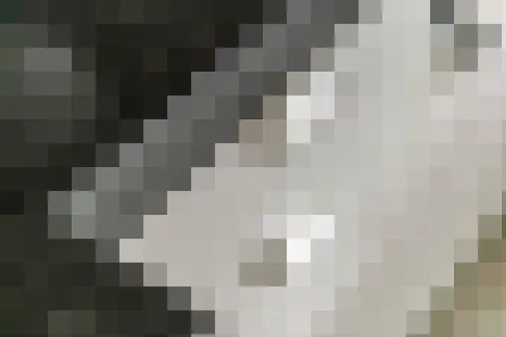Sterappel 10 Geldermalsen thumbnail 22