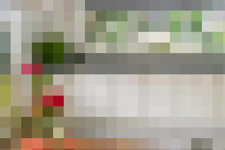 Sterappel 10 Geldermalsen thumbnail 23