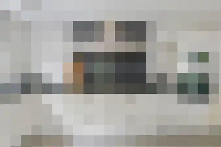 Sterappel 10 Geldermalsen thumbnail 24