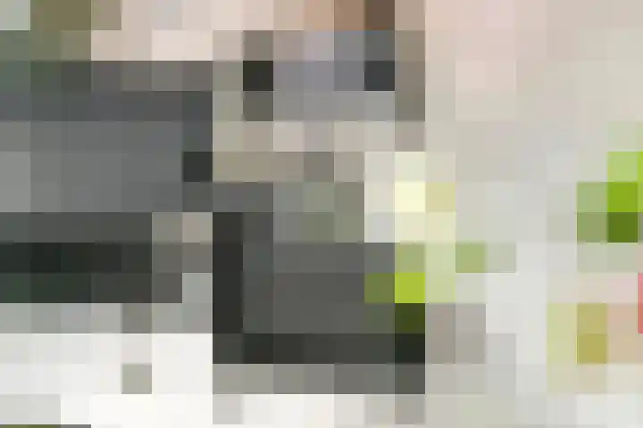 Sterappel 10 Geldermalsen thumbnail 25