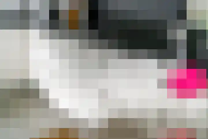 Sterappel 10 Geldermalsen thumbnail 26