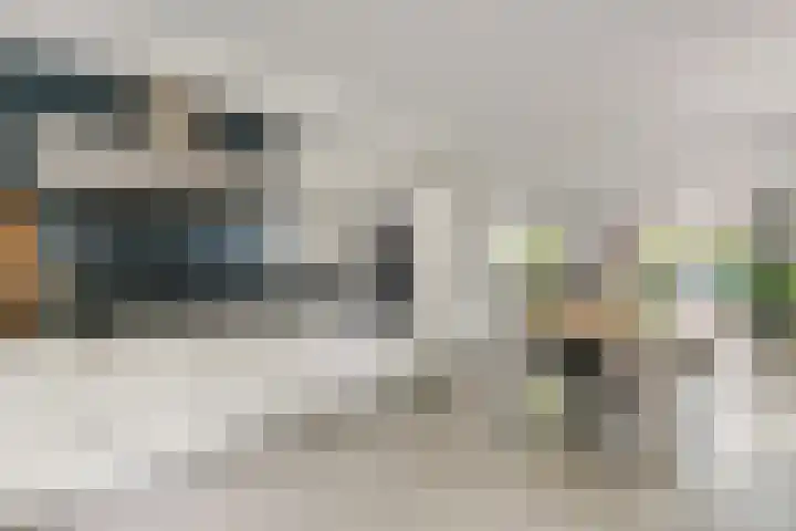 Sterappel 10 Geldermalsen thumbnail 27