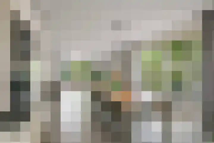 Sterappel 10 Geldermalsen thumbnail 28