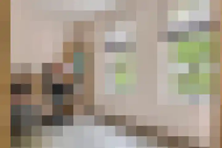 Sterappel 10 Geldermalsen thumbnail 29