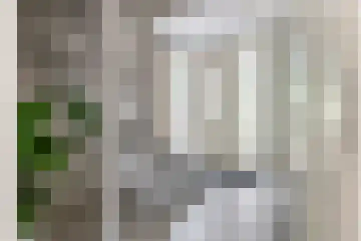 Sterappel 10 Geldermalsen thumbnail 30