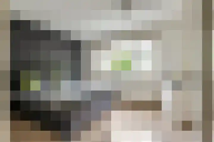 Sterappel 10 Geldermalsen thumbnail 32