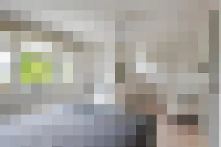 Sterappel 10 Geldermalsen thumbnail 34