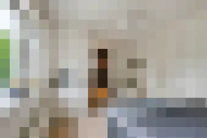 Sterappel 10 Geldermalsen thumbnail 35