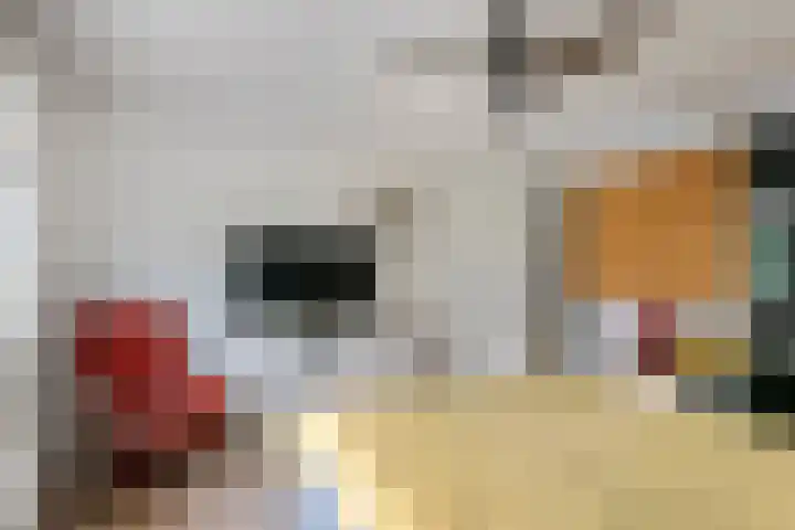 Sterappel 10 Geldermalsen thumbnail 38